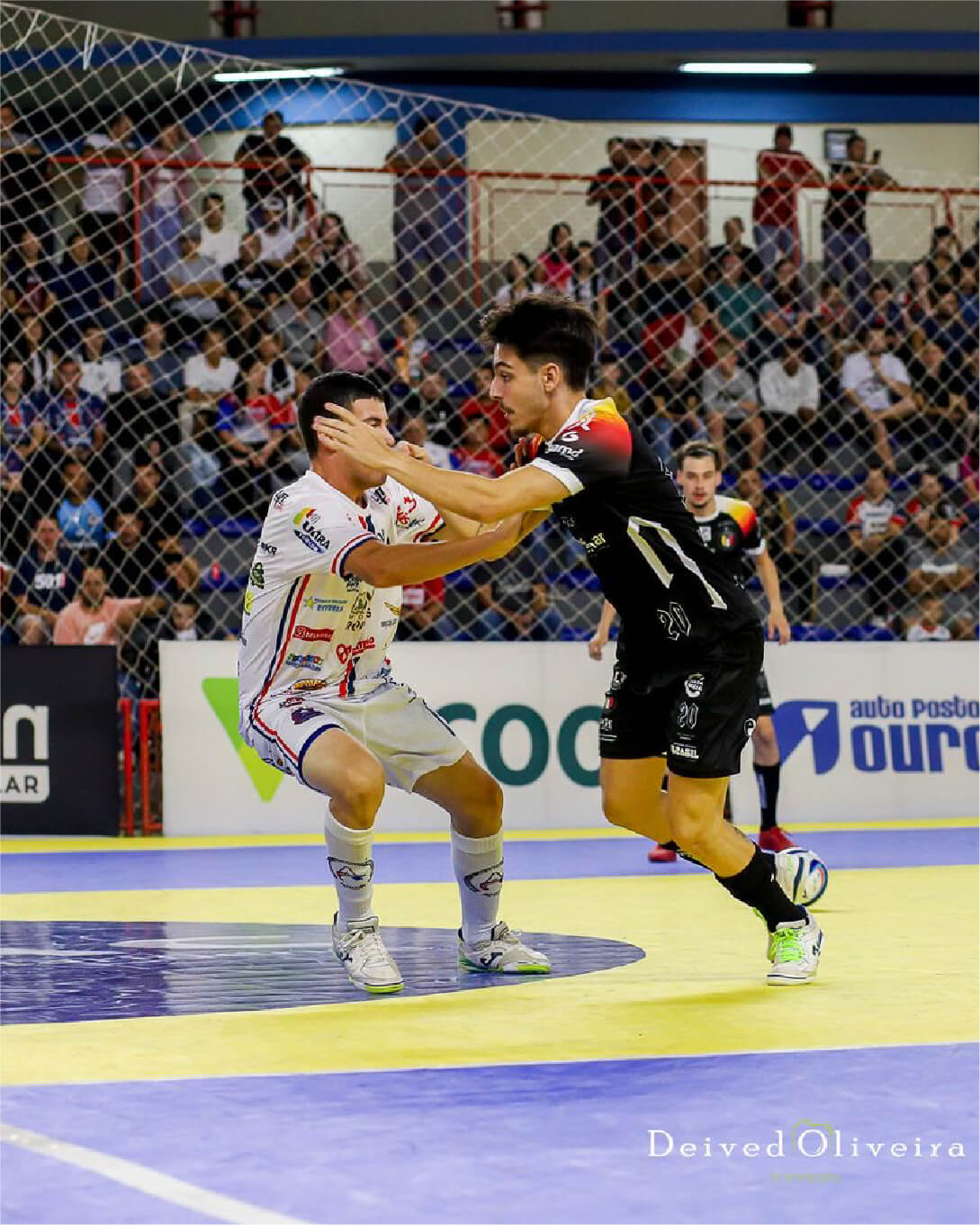 blumenau-fotos-joao-tofa-14